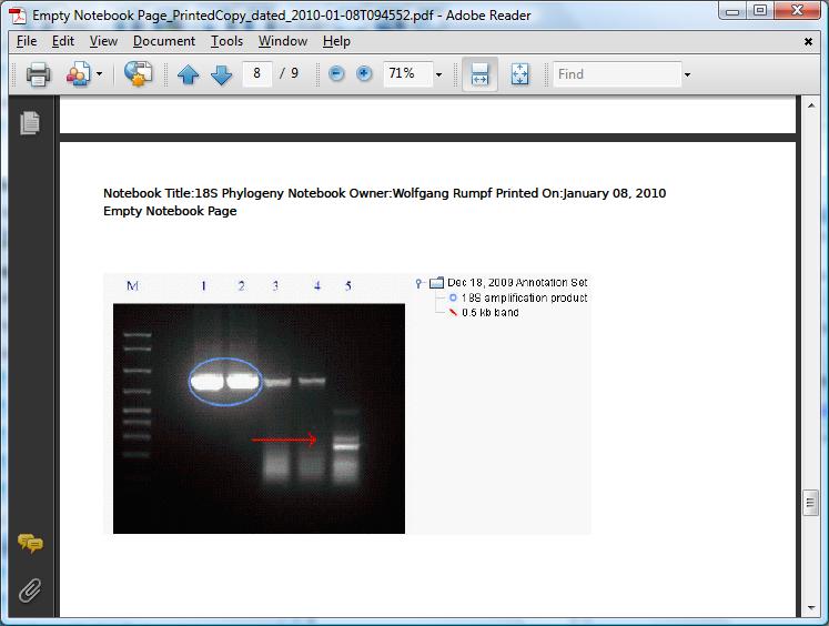 Printed copy notebook entry
