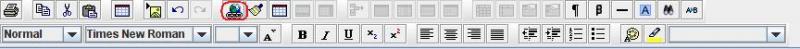 Text Editor toolbar hyperlink