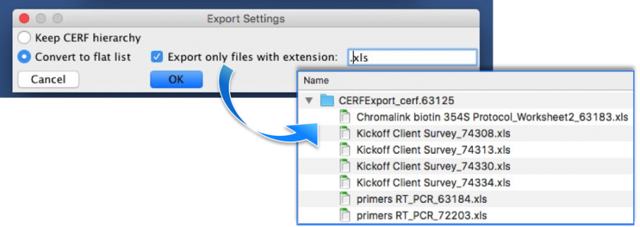 Convert to Flat list with extension
