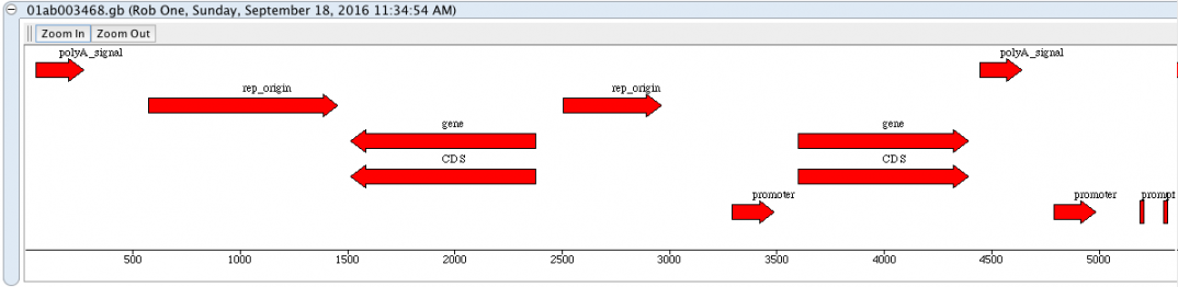 Genbank Sequence Viewer example