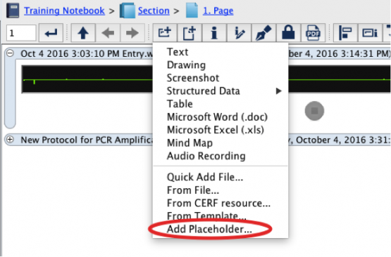 Place Holder new entry