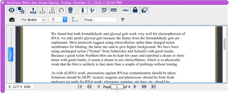 Inline Document View