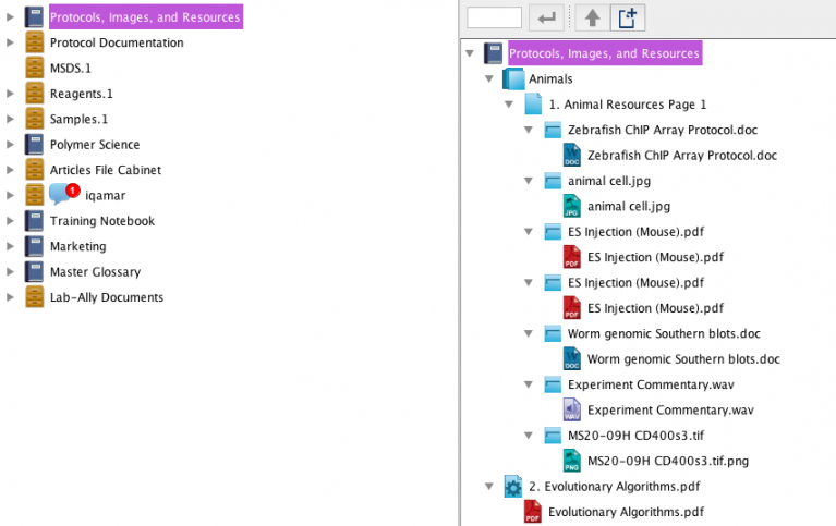 Notebook Table of Contents
