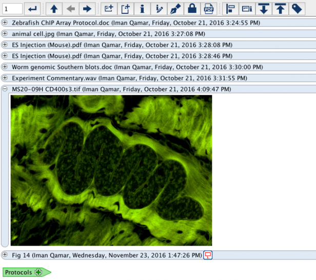 Add more files to Placeholder