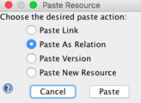 Paste resource dialog