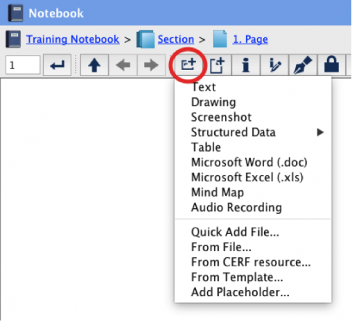 Special Notebook Entries