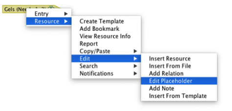 Edit restricted placeholder