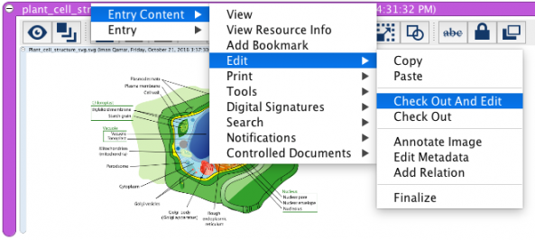 Entry content check out edit