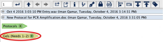 Placeholder with restriction