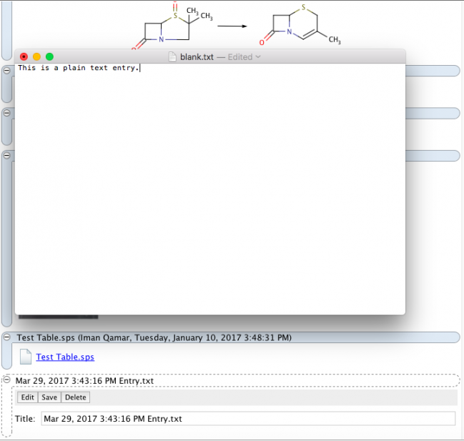 Plain text new window