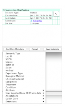 Special resource type metadata