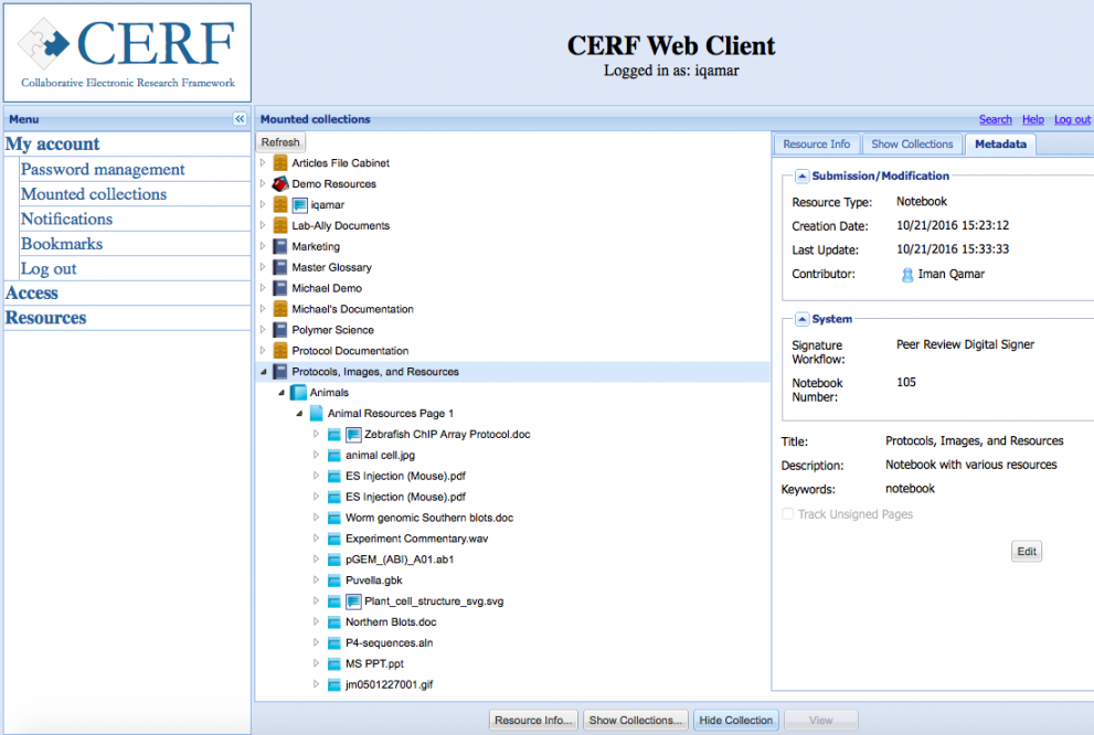 Web client main view