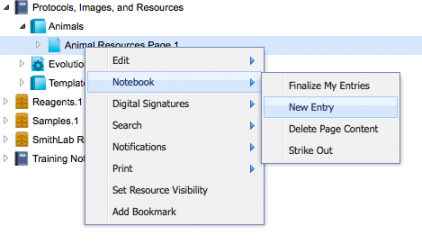 Web client new entry