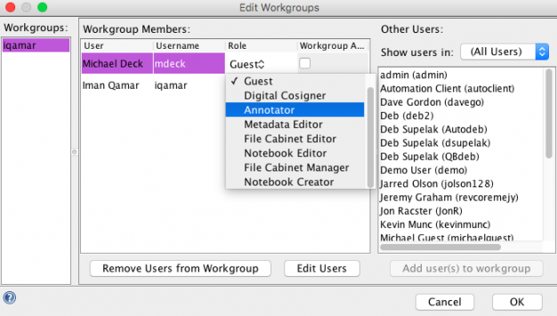 Workgroup edit users