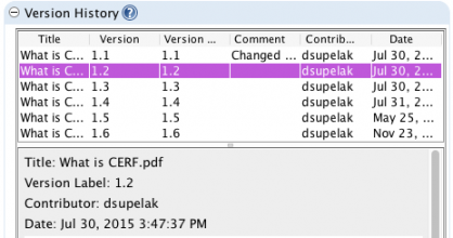 Resource info version history