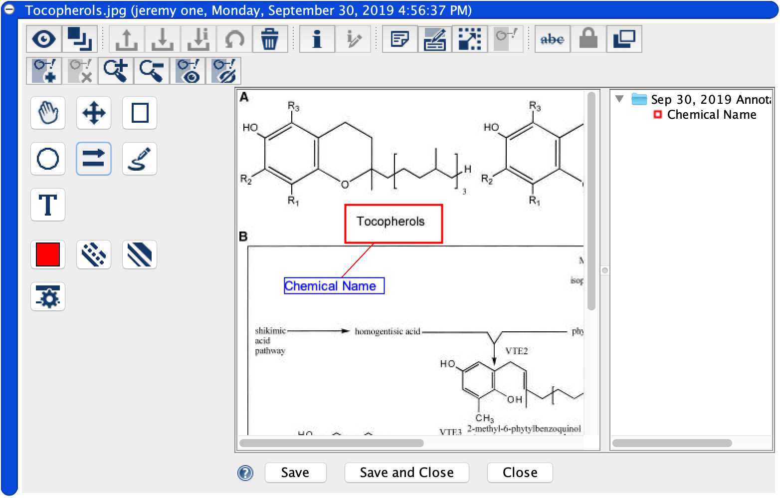 Image with annotations